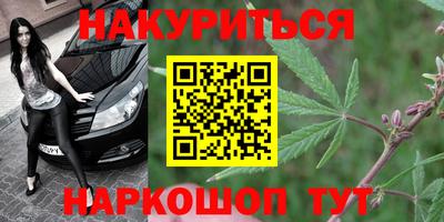 шишки Краснодар